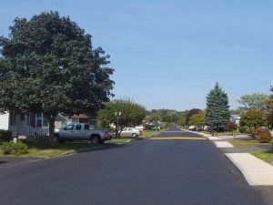 Street with trees